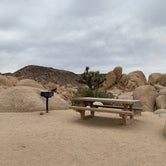 Review photo of White Tank Campground — Joshua Tree National Park by Samantha  T., July 2, 2019