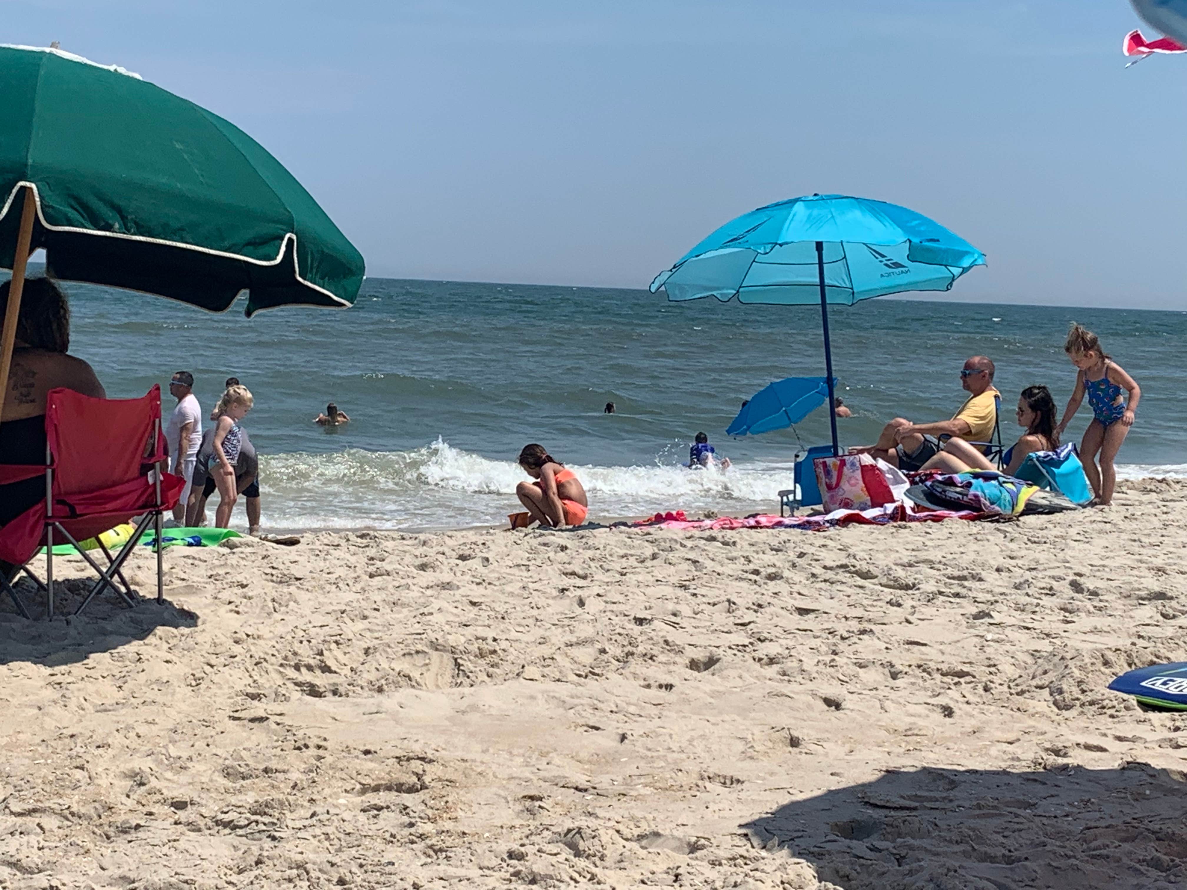 Assateague State Park beach