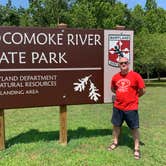 Review photo of Shad Landing Campground by Laure D., July 2, 2019