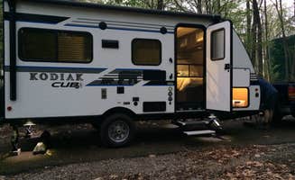 Laure D.'s photo of rv camping at Codorus State Park Campground near Sparrows Point, MD