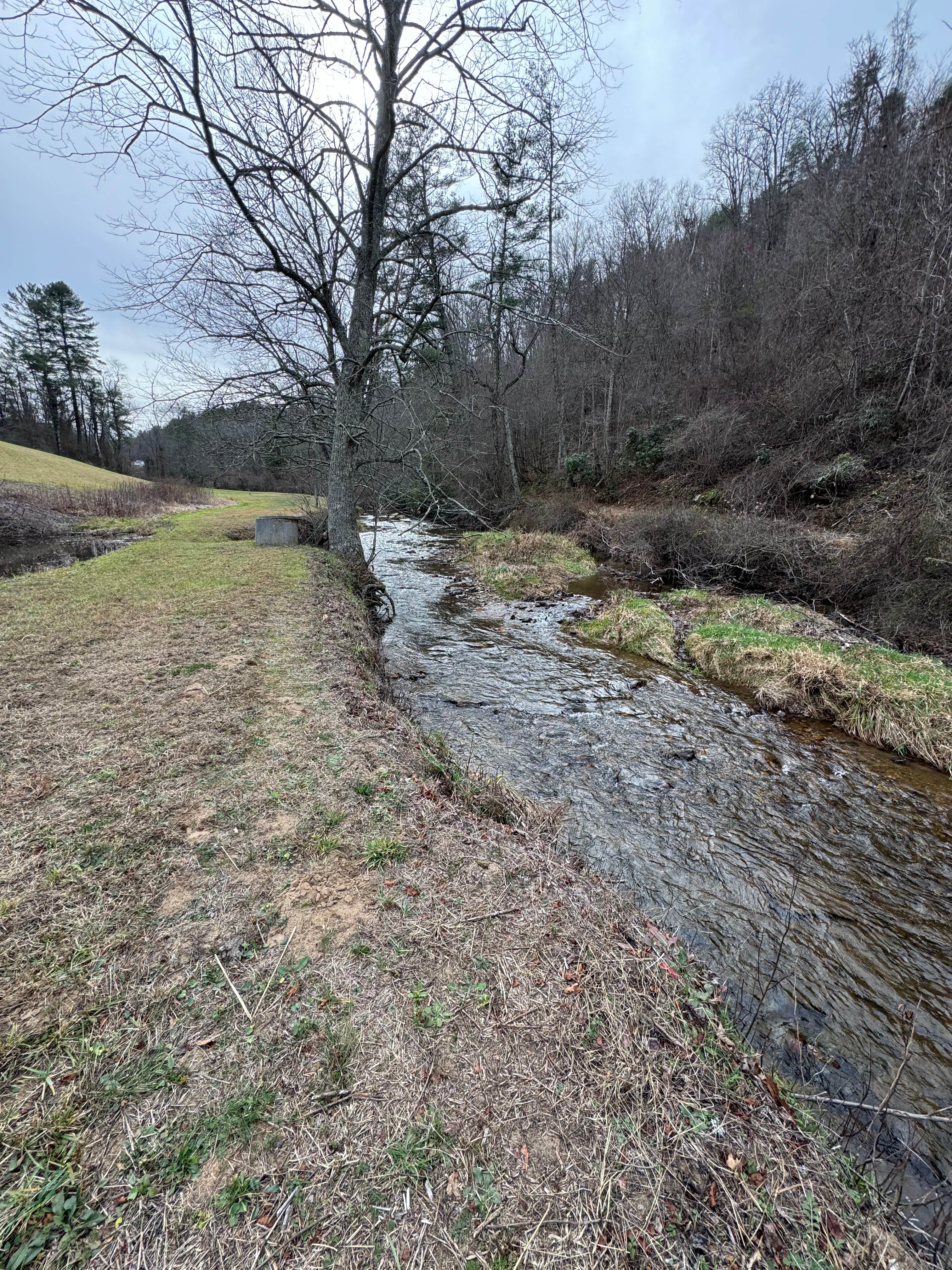 Camper-submitted photo at Creekside near Martinsville, VA