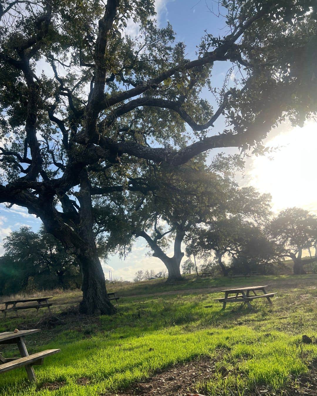 Camper-submitted photo at Centennial Creekside RV Park near Warda, TX