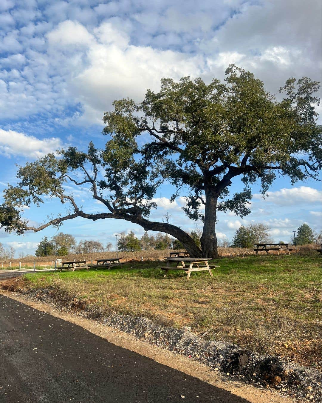 Camper-submitted photo at Centennial Creekside RV Park near Warda, TX