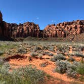 Review photo of Snow Canyon State Park Campground by David C., July 2, 2019