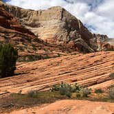 Review photo of Snow Canyon State Park Campground by David C., July 2, 2019