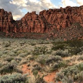 Review photo of Snow Canyon State Park Campground by David C., July 2, 2019