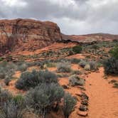 Review photo of Snow Canyon State Park Campground by David C., July 2, 2019