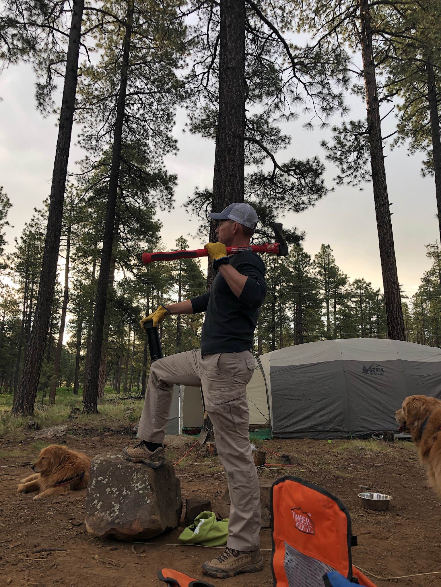 Kim and Spence S.'s photo at Fr 171 Campground near Young, AZ