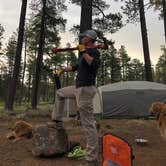 Review photo of Fr 171 Campground by Kim and Spence S., July 2, 2019