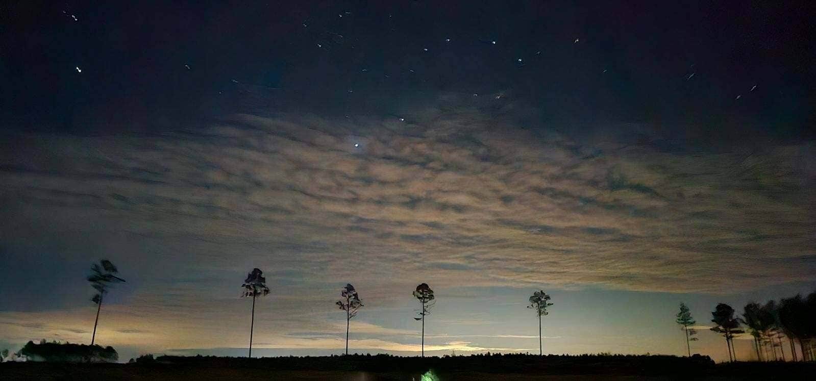 Camping near Okefenokee Pastimes Cabins and Campground: Camp Z Folkston, GA, Folkston, Georgia