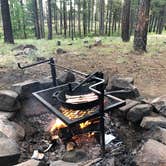 Review photo of Fr 171 Campground by Kim and Spence S., July 2, 2019