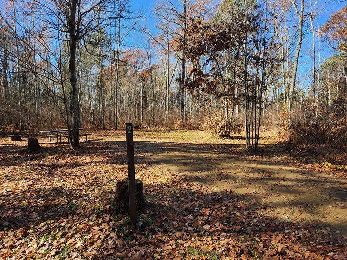 Camper submitted image from Mabel Lake Campground - 1
