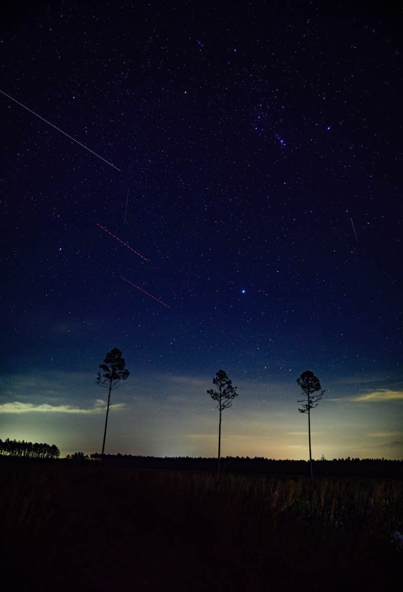 Camper-submitted photo at Camp Z Folkston, GA near Folkston, GA