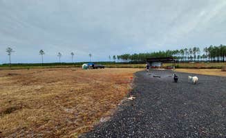 Ronald Z.'s photo of camping with pets at Camp Z Folkston, GA near Waycross, GA