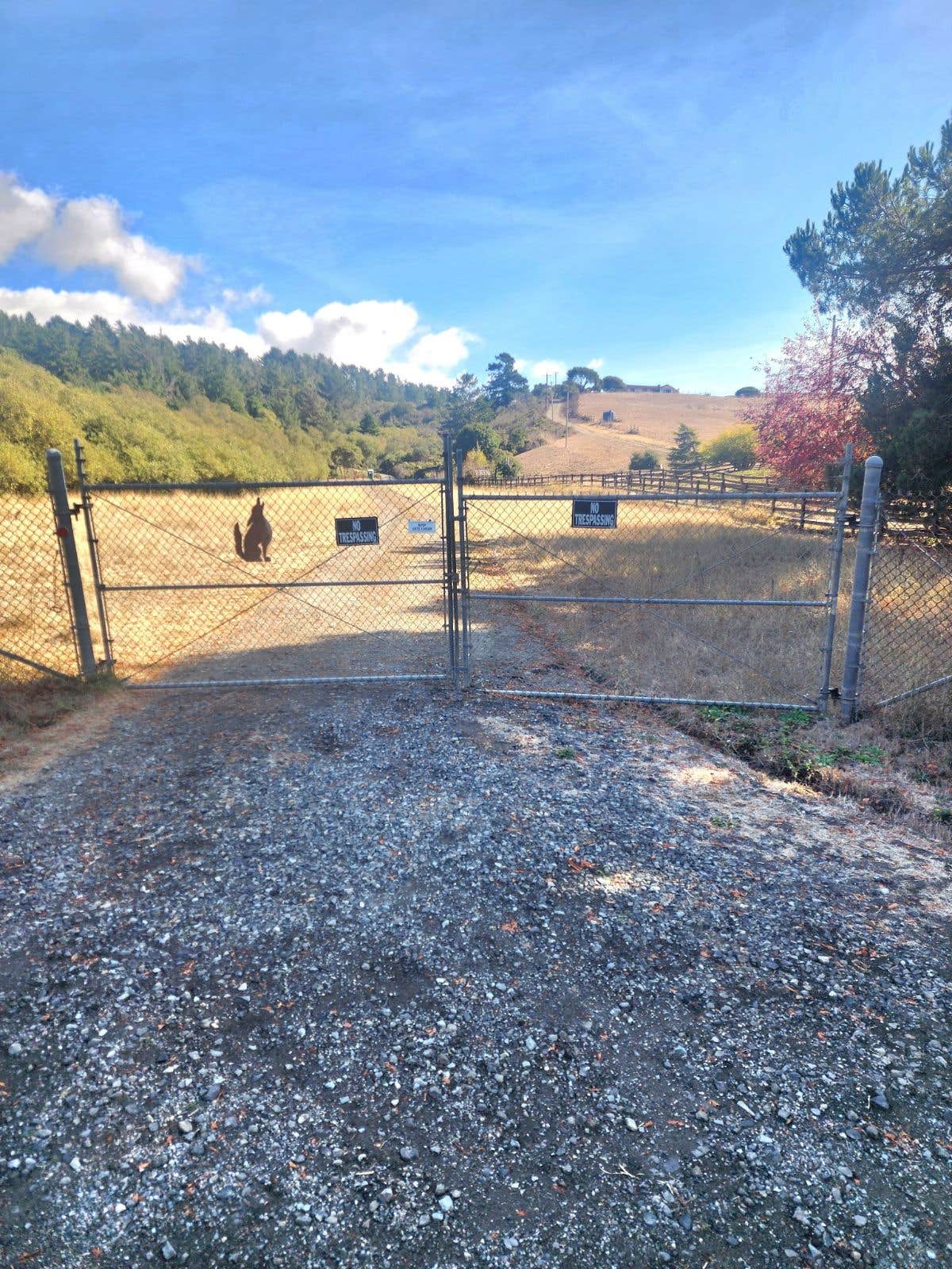 Camper-submitted photo at Bear Gulch Hideaway, "The Ridge." near Pescadero, CA