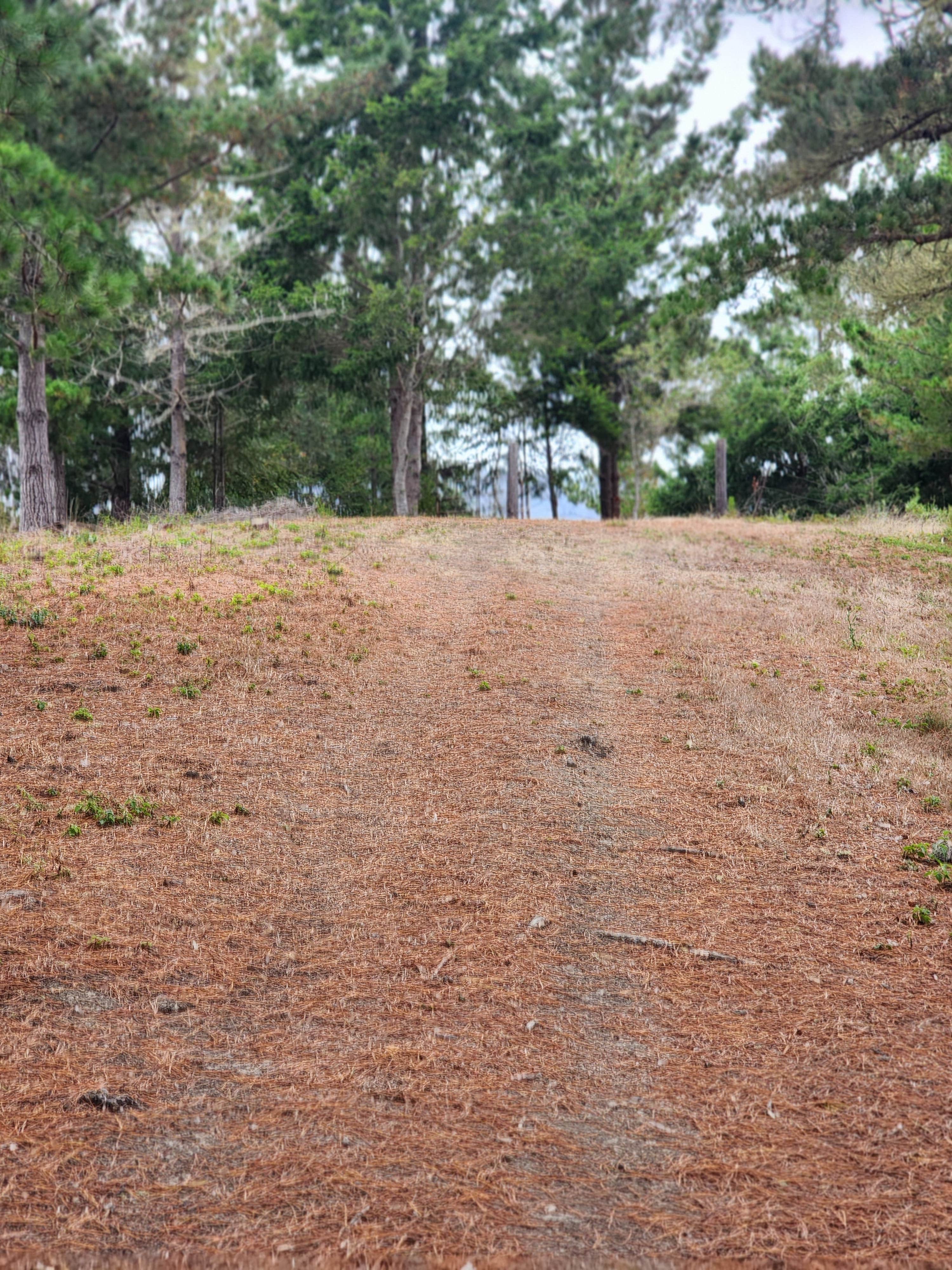Camper-submitted photo at Bear Gulch Hideaway, "The Ridge." near Pescadero, CA