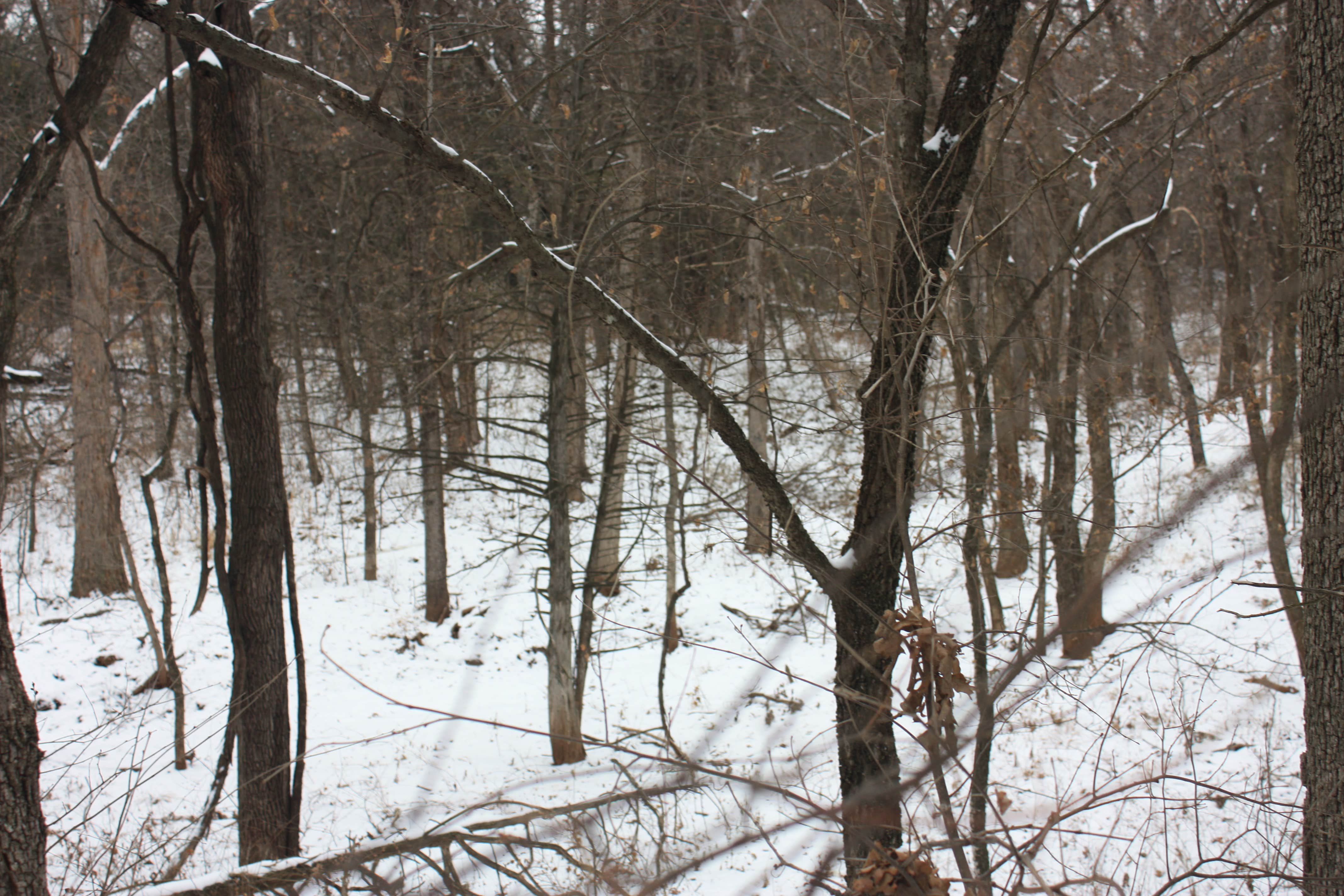 Camper submitted image from Lake Carl Blackwell - 2