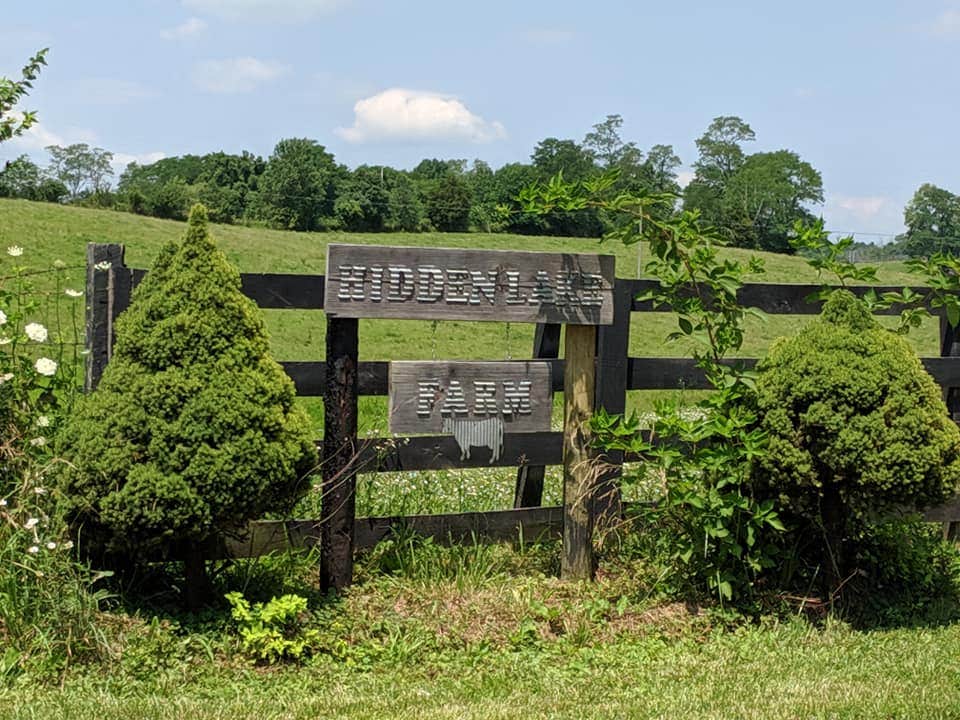 Camper-submitted photo at Hidden Lake Farm Camp near Lexington, KY