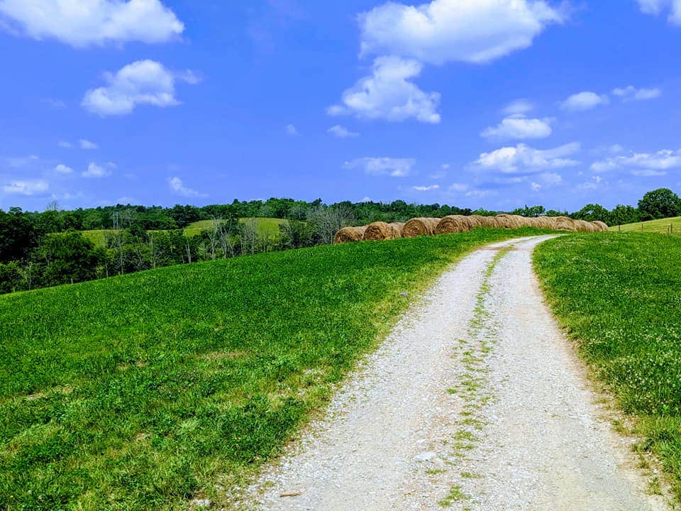 Camper-submitted photo at Hidden Lake Farm Camp near Lexington, KY