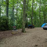 Review photo of S-Tree Campground by Andrew G., July 2, 2019