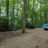 Review photo of S-Tree Campground by Andrew G., July 2, 2019