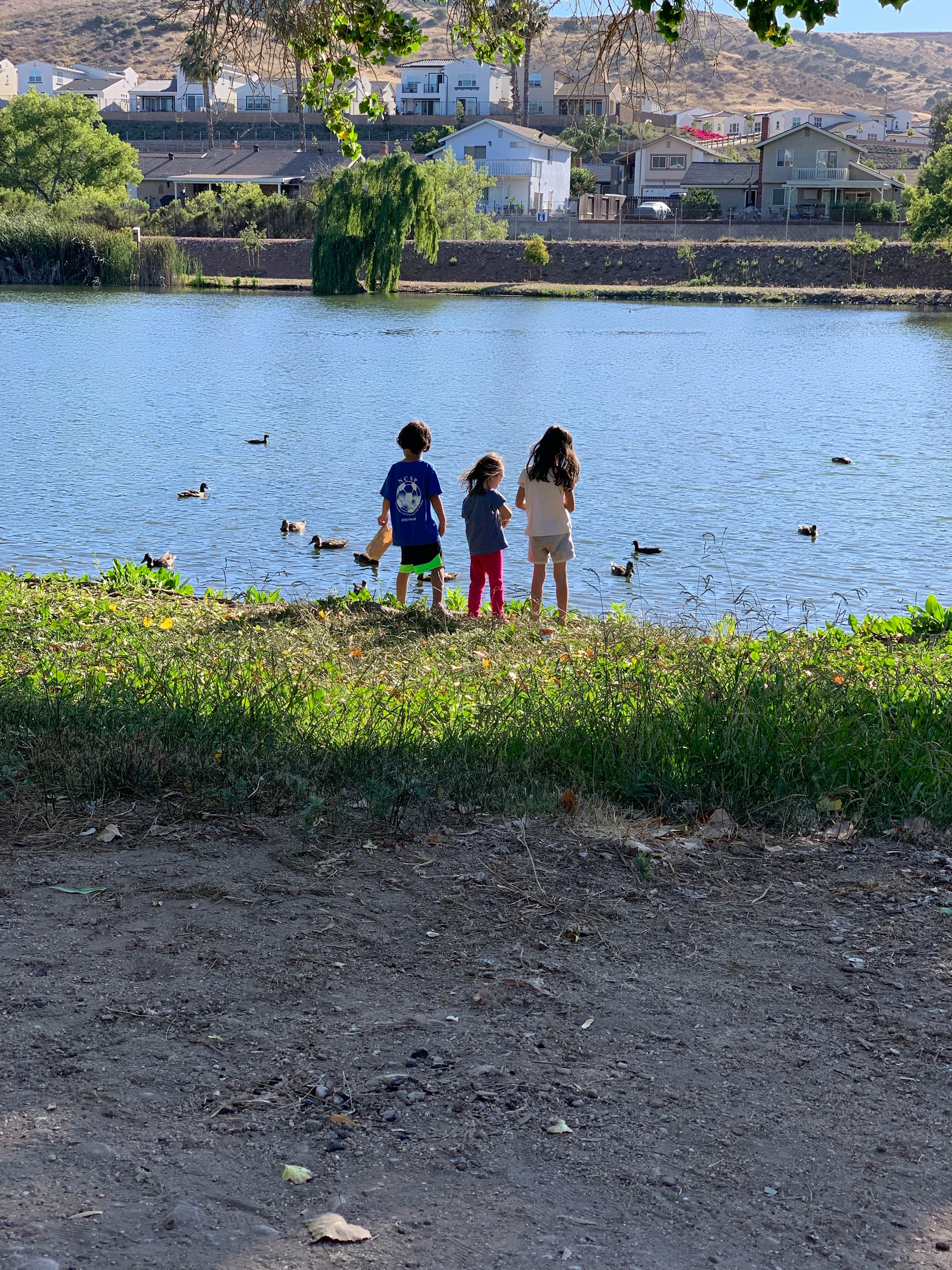 Camper submitted image from Santee Lakes Recreation Preserve - 3