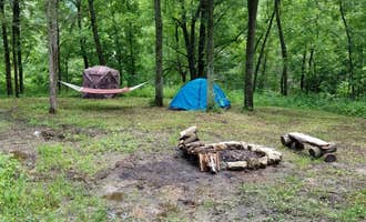Camping near Reno Horse Campground — R.J.D. Memorial Hardwood State Forest: Shady Rest Acres, Hokah, Minnesota
