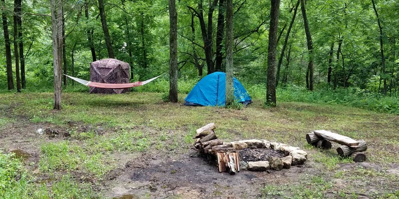 Camper submitted image from Shady Rest Acres