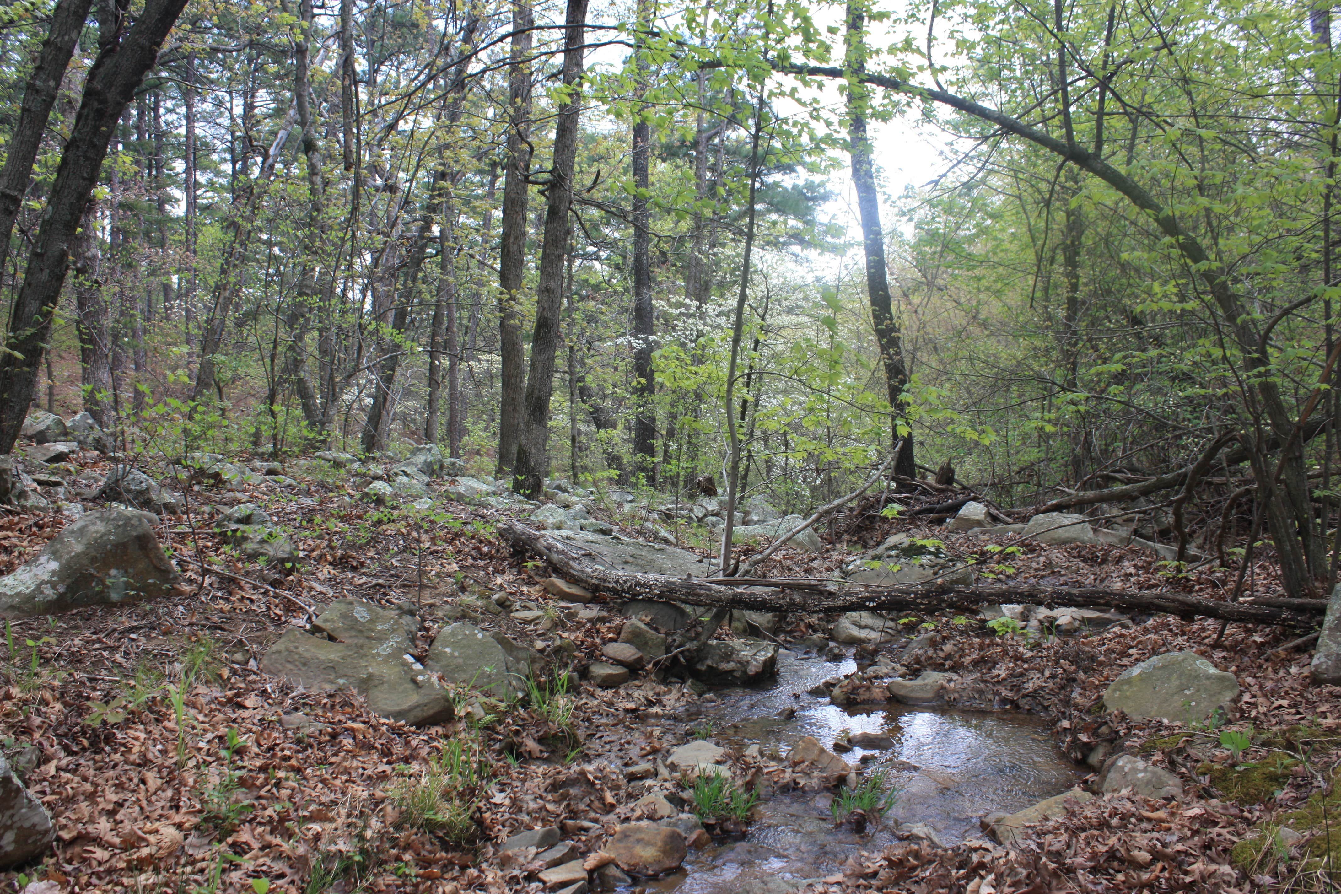 Winding sale stair campground