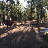 Review photo of Valentine Ridge Campground by Kim and Spence S., July 2, 2019