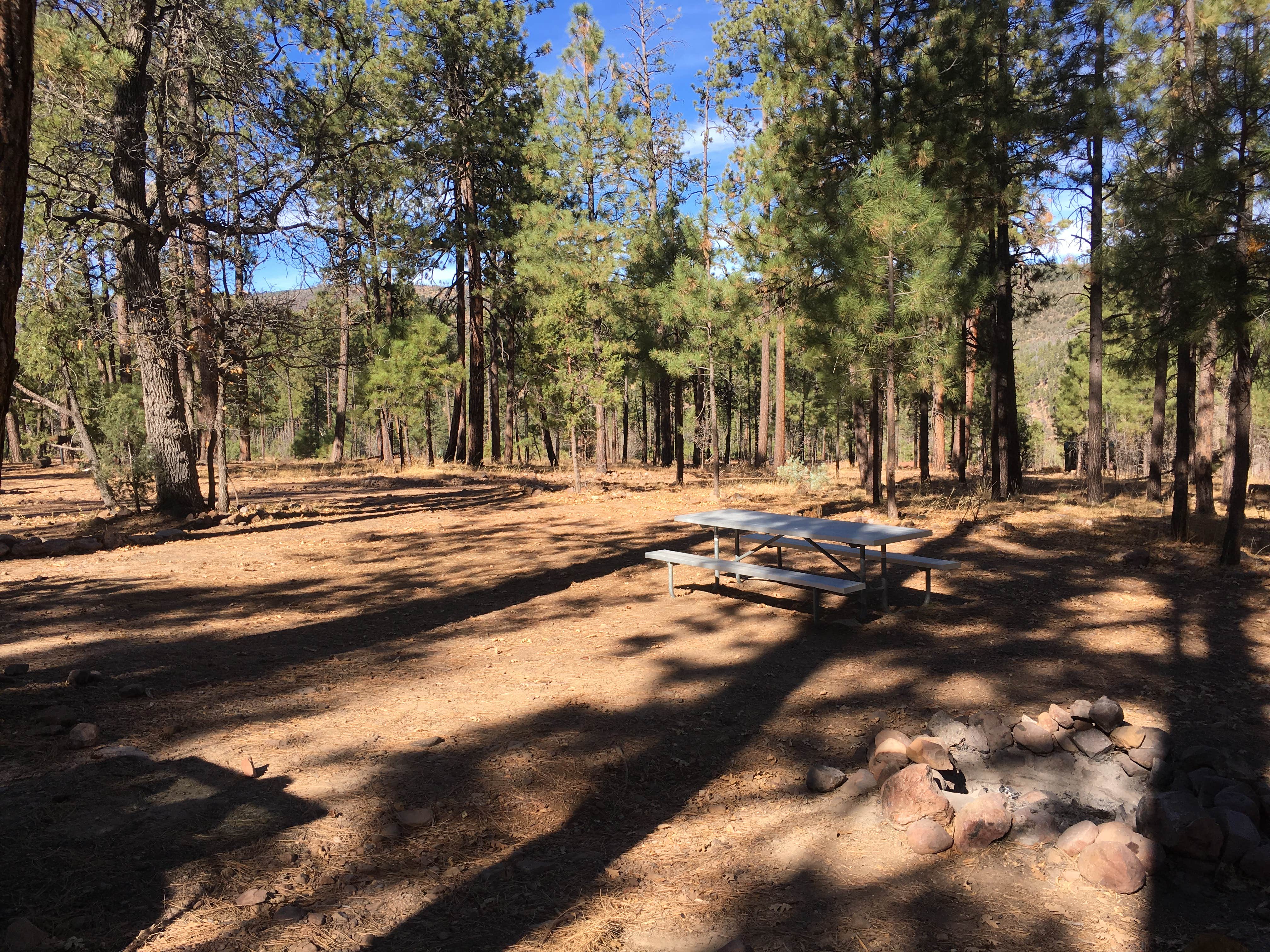 Camper-submitted photo at Valentine Ridge Campground near Young, AZ