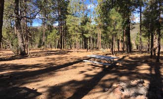 Camping near Dutch's Tank: Valentine Ridge Campground, Forest Lakes, Arizona