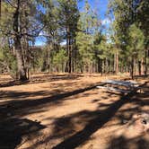 Review photo of Valentine Ridge Campground by Kim and Spence S., July 2, 2019