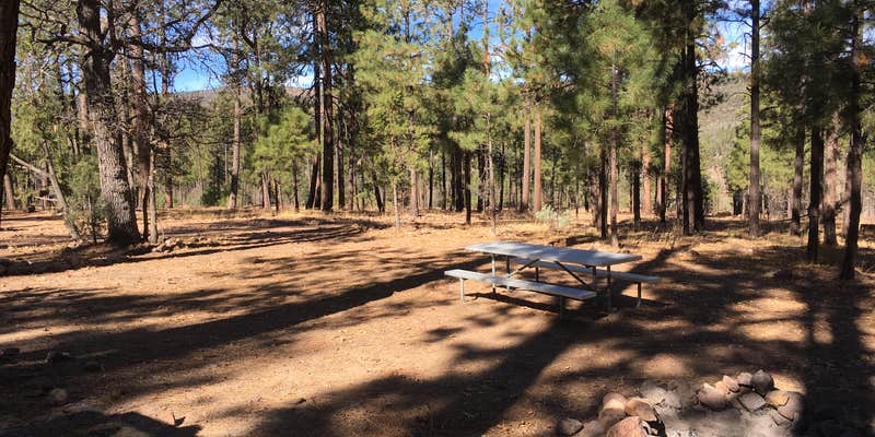 Camper submitted image from Valentine Ridge Campground