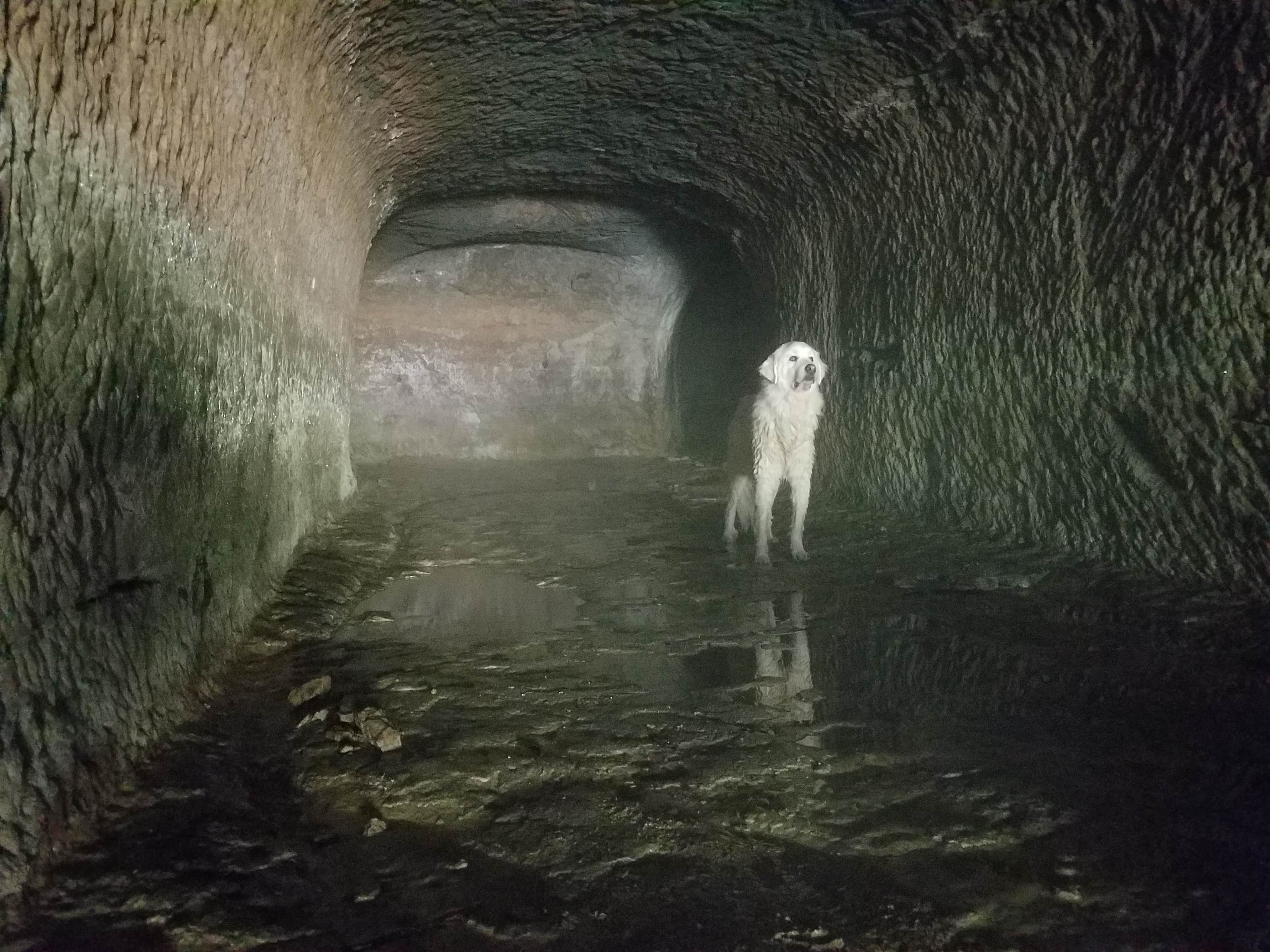 Camper-submitted photo at Shady Rest Acres near La Crosse, WI