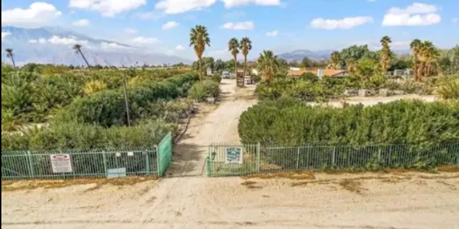 Camper submitted image from Mineral Springs Date Farm