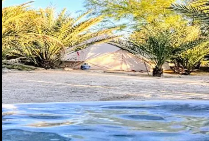 Ronald C.'s photo of tent camping at Mineral Springs Date Farm near Idyllwild-Pine Cove, CA