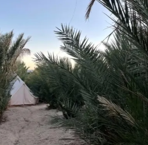 Camper-submitted photo at Mineral Springs Date Farm near Bermuda Dunes, CA