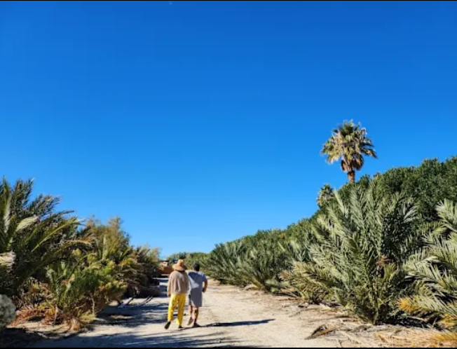 Camper-submitted photo at Mineral Springs Date Farm near Bermuda Dunes, CA