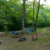 Review photo of Levi Jackson Wilderness State Park Campground by Andrew G., July 2, 2019