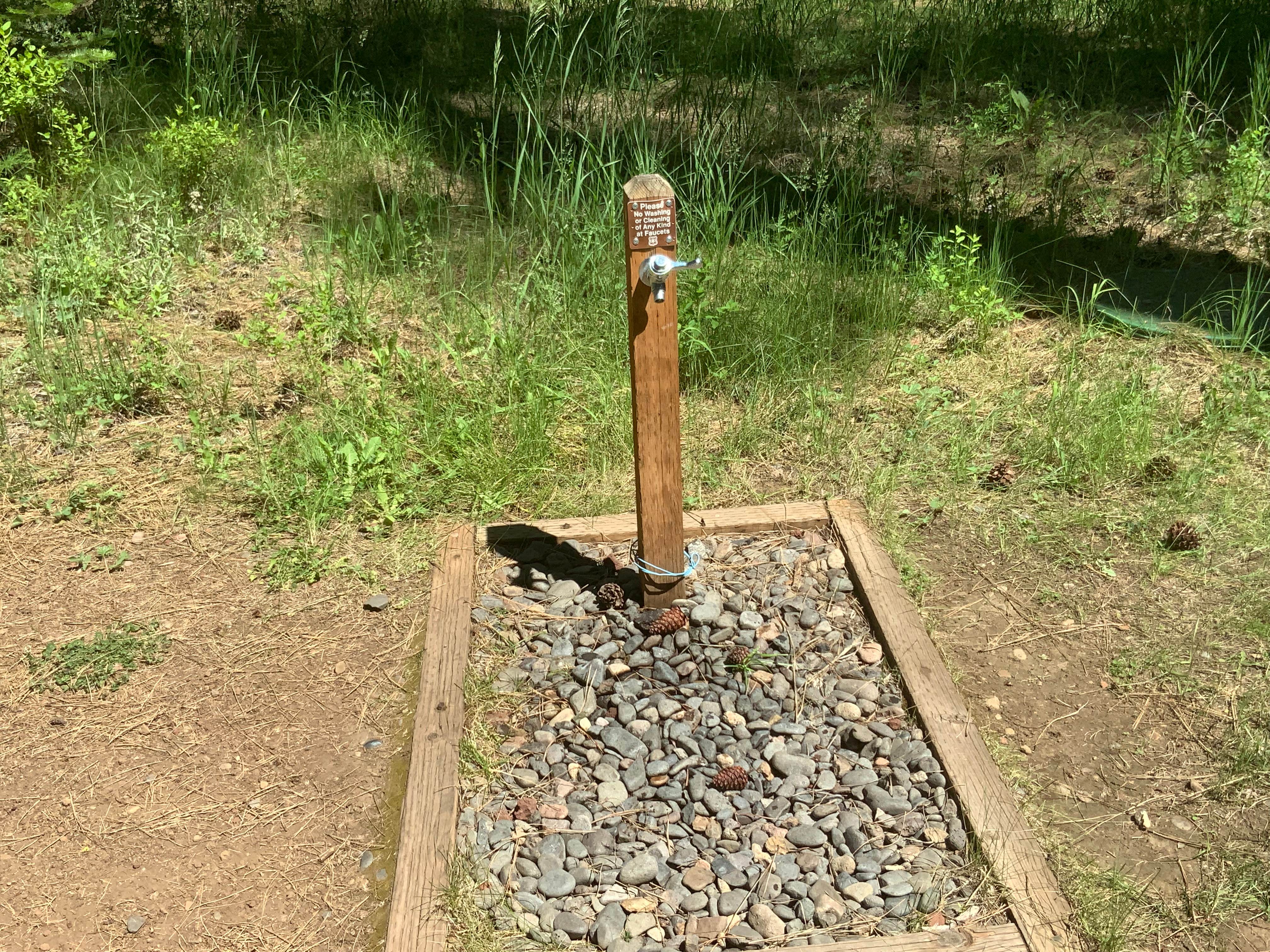 Camper submitted image from Camp Sherman Campground - 5