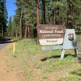 Review photo of Allingham Campground by Bennett F., July 2, 2019