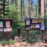 Review photo of Allingham Campground by Bennett F., July 2, 2019