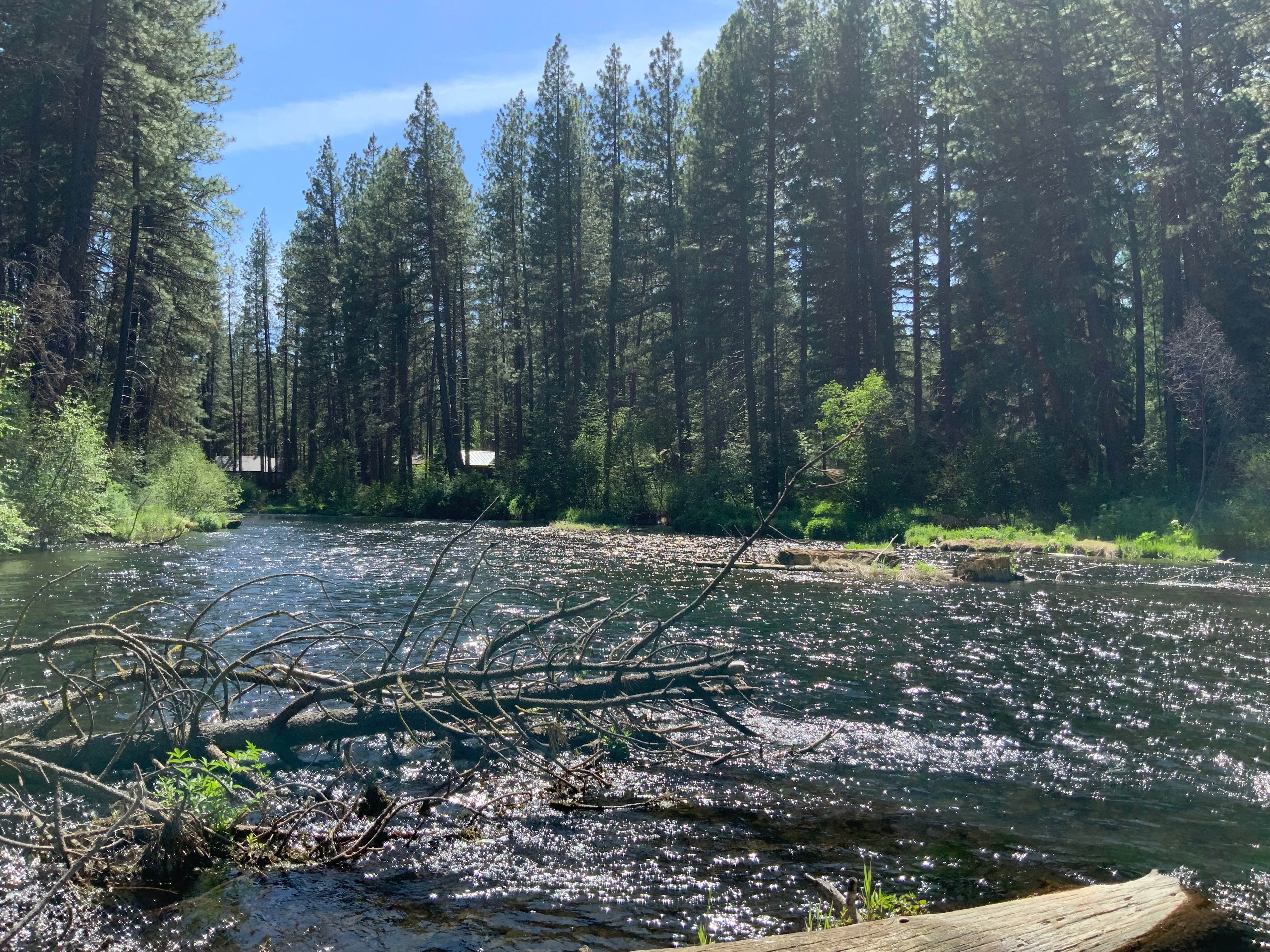 Escape To Oregon’s Smiling River: Your Unforgettable Campground Adventure
