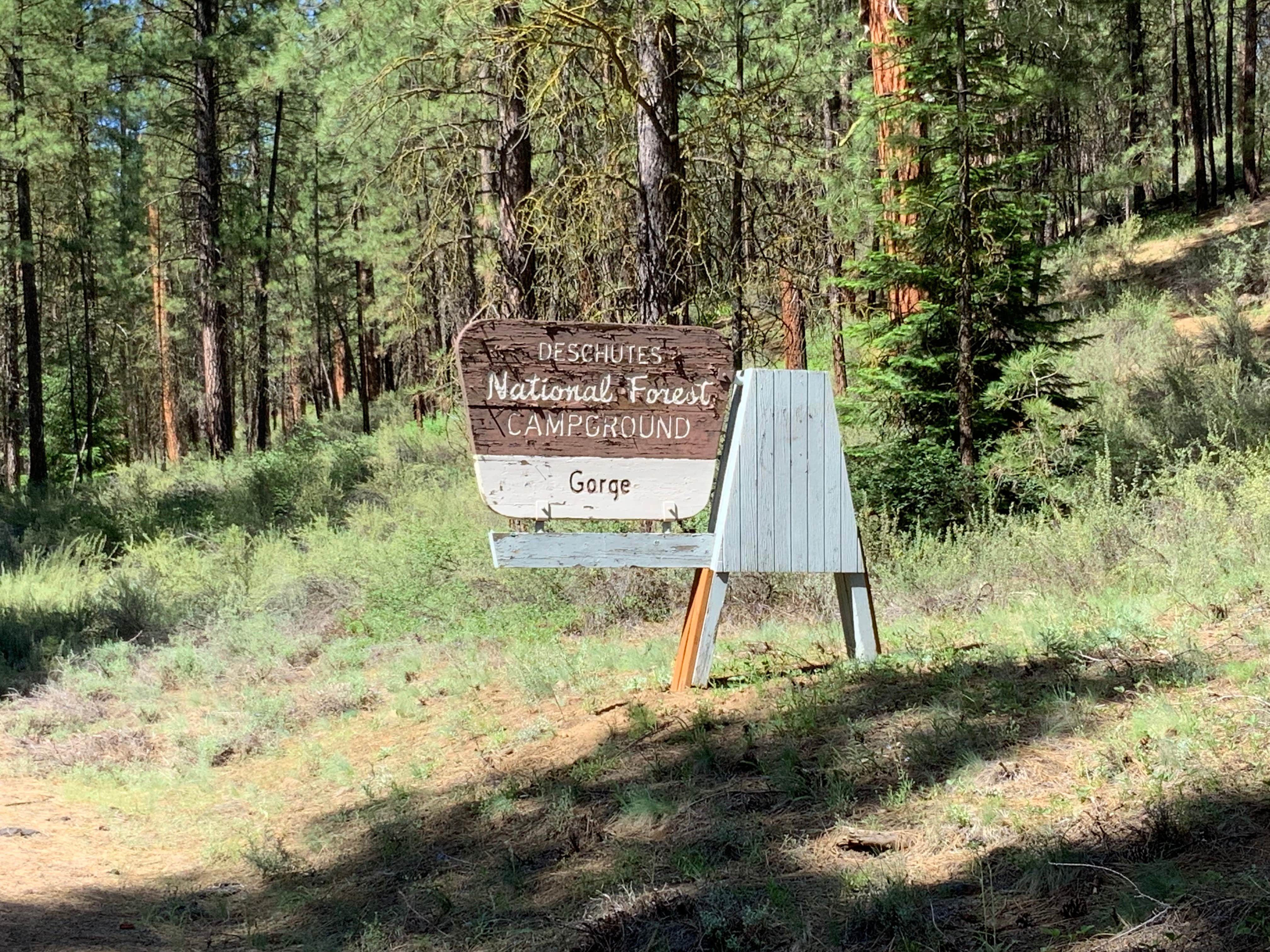 Camper submitted image from Gorge Campground - 2