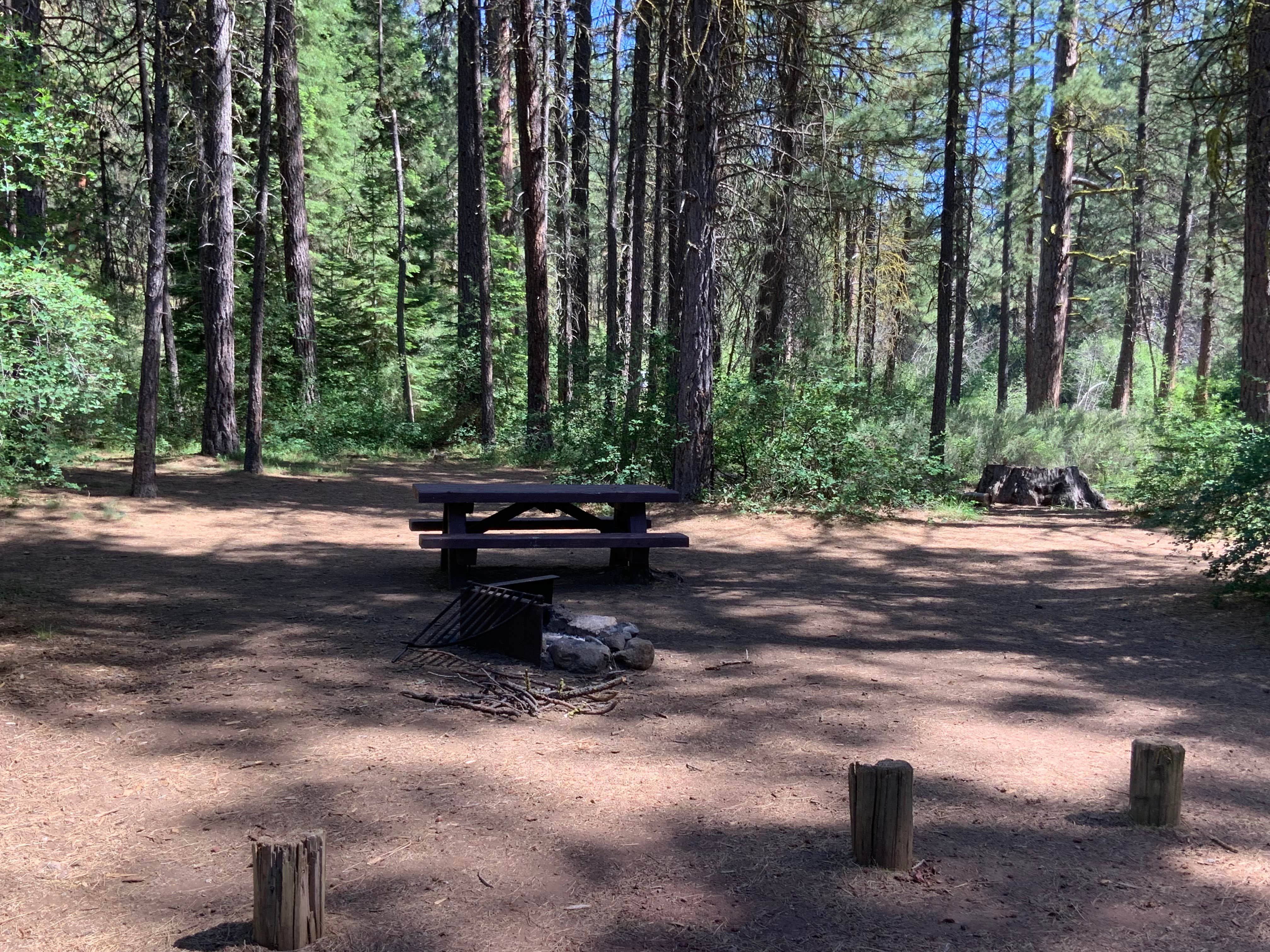 Bennett F.'s photo at Gorge Campground near Camp Sherman, OR