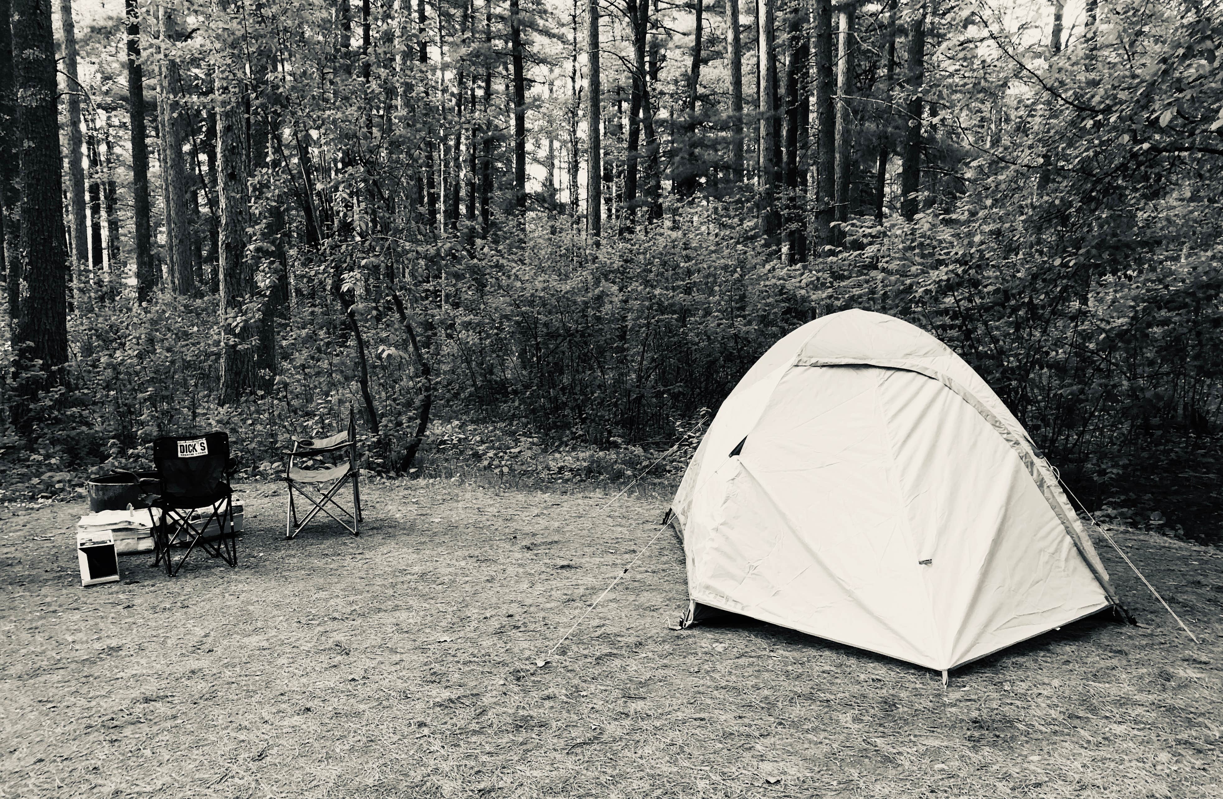Kelly K.'s photo at Bear Head Lake State Park Campground near Biwabik, MN