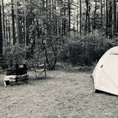 Review photo of Bear Head Lake State Park Campground by Kelly K., July 2, 2019