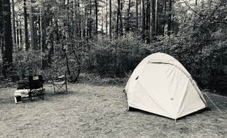 Kelly K.'s photo at Bear Head Lake State Park Campground near Biwabik, MN