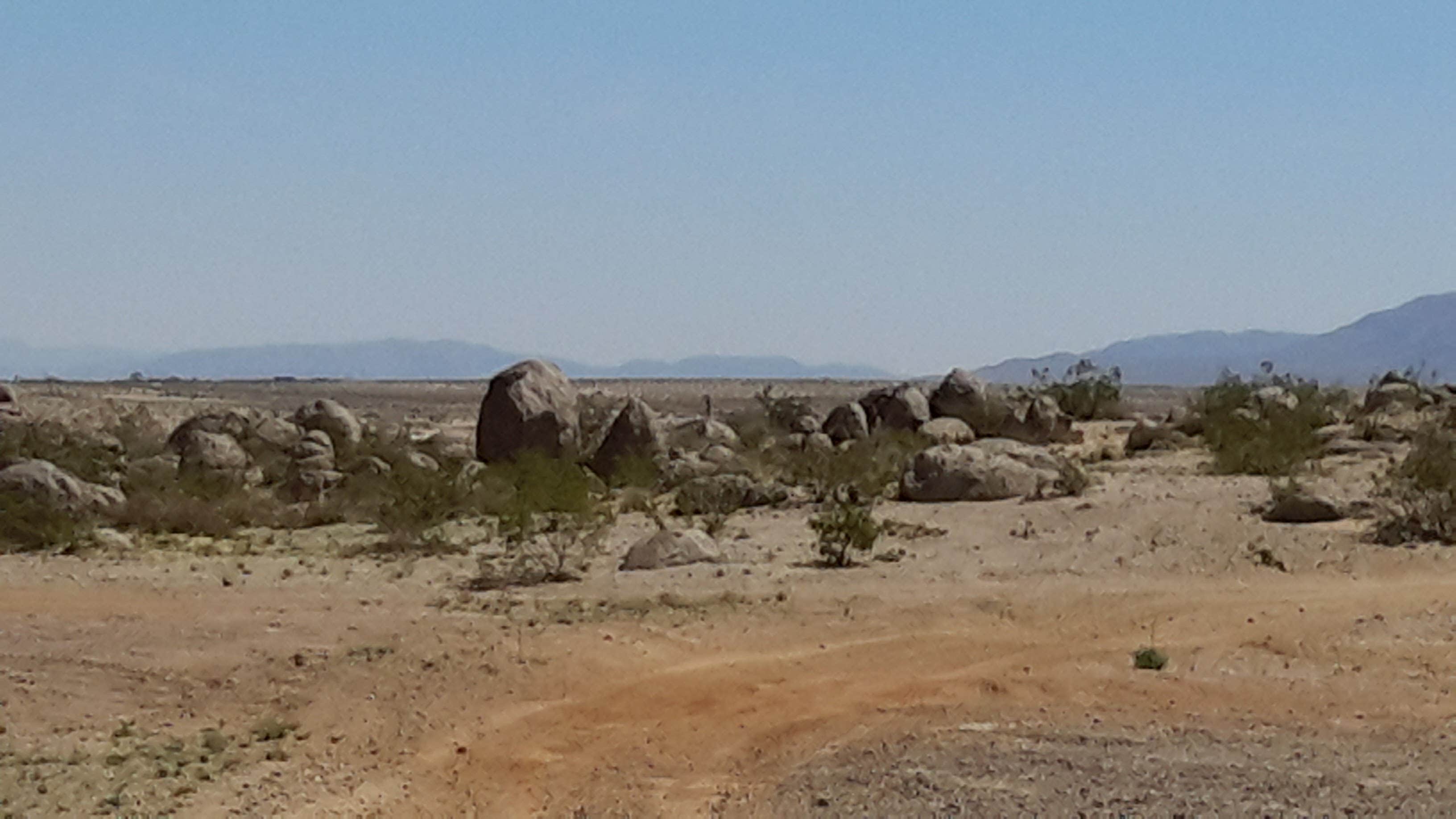 Camper-submitted photo at Mojave high desert tent and RV getaway near Twentynine Palms, CA